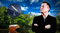 Elon Musk y Starlink brindan internet gratis a Sudamérica con 6.000 satélites de órbita baja