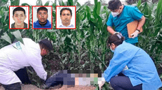 Crímenes no paran: cinco homicidios en las últimas 24 horas en el país
