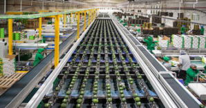 Ley Chlimper 2.0: Camposol, Beta y otras grandes agroexportadoras serían las más beneficiadas con el recorte de impuestos 